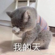 合适油皮用的防晒霜品牌(合适油皮用的防晒霜品牌)