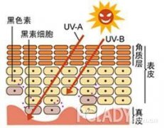 品牌防晒霜推荐女款(品牌防晒霜推荐女款图片)