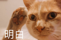 品牌防晒霜控油(控油的防晒霜)