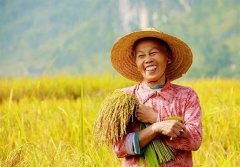 防晒霜品牌防紫外线喷雾(防晒喷雾防晒果)