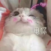 大童夏季防晒霜推荐品牌(儿童防晒霜哪个牌子)