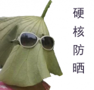 防晒霜皮鞋推荐品牌图片(防晒帽子品牌排行榜)