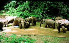 适合西双版纳的防晒霜品牌(西双版纳防晒霜需要带几个+的)