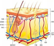 名媛用的防晒霜品牌(名媛用的防晒霜品牌叫什么)
