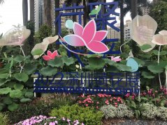 夏季遛娃防晒霜推荐品牌(夏季防晒霜哪个牌子的防晒果好)