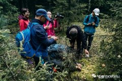 新疆防晒霜排名品牌(新疆适合多少度的防晒霜)