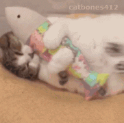 美白身体防晒霜平价品牌(防晒美白产品哪个牌子果好)