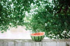 男孩军训用的防晒霜品牌(男孩军训用的防晒霜品牌有哪些)