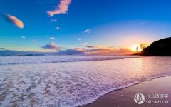 大码女西装防晒霜推荐品牌(大码防晒衣哪个品牌好)