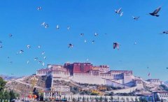 361品牌汽车防晒霜好吗(361的防晒衣怎么样)