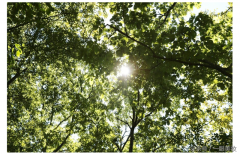 日本制作防晒霜品牌排行榜(日本有名的防晒霜品牌)