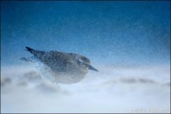 摄影师防晒霜推荐品牌(防晒牌子推荐)