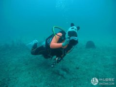 潜水衣防晒霜推荐品牌(防晒泳衣品牌)