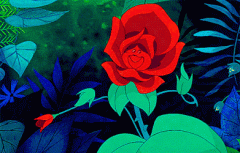 品牌魅如雪清霜防晒霜(御雪防晒霜)