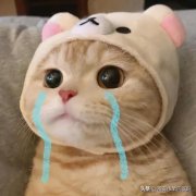 脸部整形毛孔粗大多少钱(美容院调节毛孔粗大多少钱)