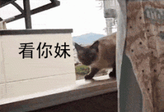 额头伤疤整形需要多少钱(额头整形术要多少钱)