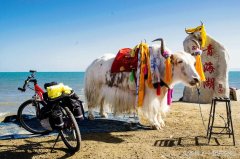 骑马用的防晒霜是什么品牌(骑行防晒衣哪个牌子好)