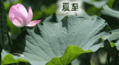 宜宾品牌防晒霜厂家(宜宾护肤品)