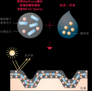 蓝胖子防晒霜品牌介绍(蓝胖子是什么牌子的防晒霜)
