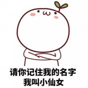 海南防晒霜好的品牌(海南防晒霜spf多少比较好)