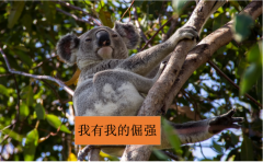 孕妇用的防晒霜品牌(孕妇可用的防晒霜品牌)