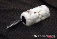 国际品牌防晒霜广告词(防晒霜的推广标语)