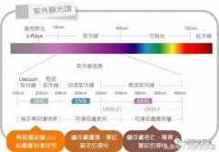 拼多多防晒霜推荐男款品牌(拼多多防晒衣哪家好)