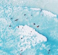 海滩边防晒霜品牌推荐(海滩防晒霜什么牌子好)