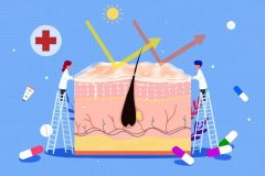 湿热地区防晒霜推荐品牌(干性皮肤防晒霜什么牌子好)