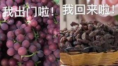 绍兴好的防晒霜品牌是哪个(国内十大的防晒霜)