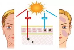 女装时尚防晒霜推荐品牌(女装时尚防晒霜推荐品牌)