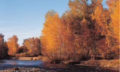 防晒霜俄罗斯旅游品牌(俄罗斯的护肤品牌)