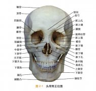 方形脸整形需要多少钱(方脸整容多少钱)