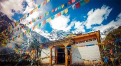 陈晓防晒霜日本品牌怎么样(陈晓防晒霜日本品牌怎么样知乎)