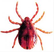 失败的一款防晒霜品牌是(失败的一款防晒霜品牌是什么)