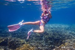 潜水脸防晒霜推荐品牌有哪些(潜水衣防晒霜)