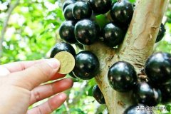 春冬防晒霜平价品牌(秋冬季防晒霜推荐)