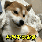 抚顺防晒霜品牌排行榜前十(抚顺防晒霜品牌排行榜前十位)