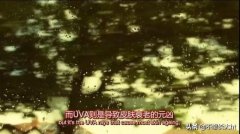 张柏芝品牌防晒霜怎么样(张柏芝防晒霜好用吗)