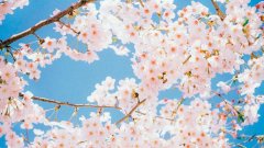 银座旗下防晒霜品牌(银座防晒隔离)