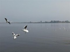 琼海的防晒霜品牌有那些(去海南用什么牌子的防晒霜)