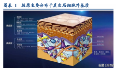 西京整形光子嫩肤价格多少(北京光子嫩肤价目表)