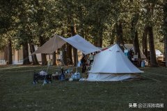 坐垫品牌平价防晒霜排行榜(哪个牌子的护垫好)