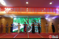 伊丽莎白整形医院有多少家(伊丽莎白国际整形医院好不好)