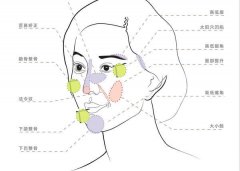 徒手整形价格多少合理(徒手整形果图)