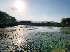 泊素雅品牌防晒霜果好(泊美防晒隔离霜好用吗)