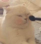 防晒霜推荐男军人使用品牌(防晒霜推荐男军人使用品牌有哪些)