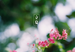 网球牌子防晒霜有哪些品牌(防晒排行榜前十名的牌子)