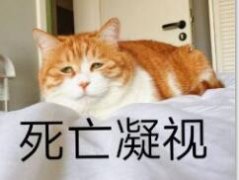 vn防晒霜品牌(韩国vn护手霜)