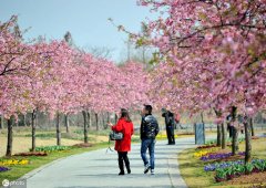情侣装夏季防晒霜推荐品牌(夏季情侣装哪个牌子好)